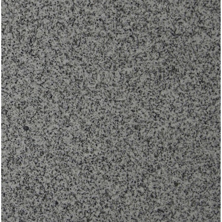Msi Bianco Catala 12 in.  X 12 in.  Polished Granite Floor And Wall Tile, 5PK ZOR-NS-0077